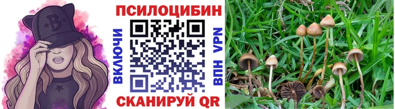 Псилоцибиновые грибы GOLDEN TEACHER  где продают наркотики  Берёзовка 